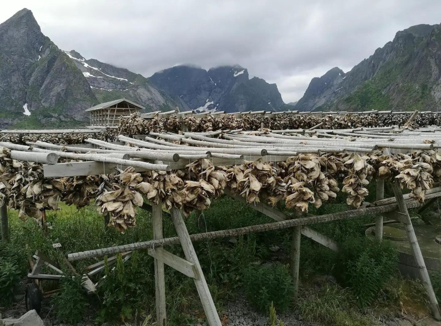 Lofoten Panoramic Luxury Home With Sauna Москенес Экстерьер фото