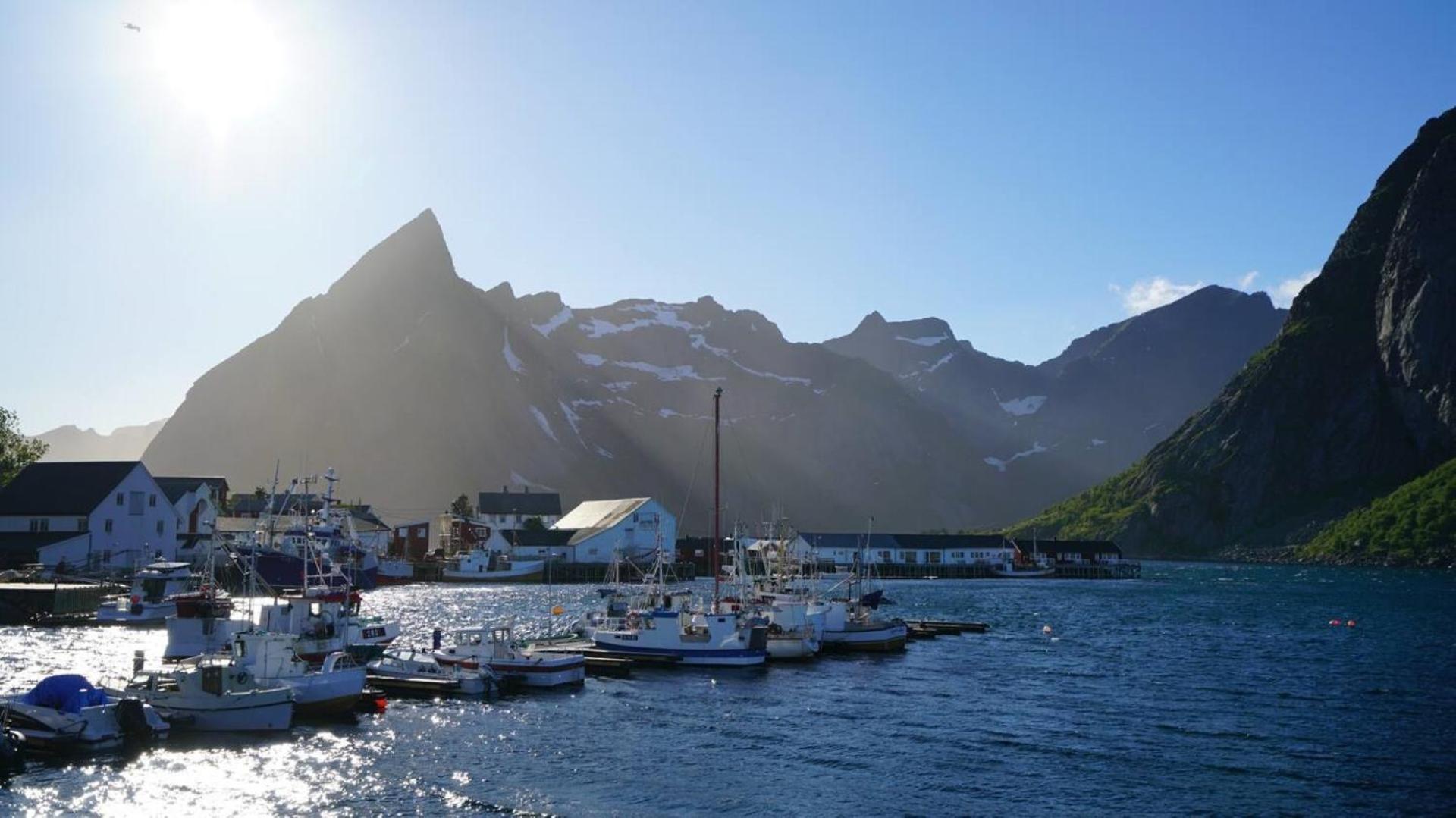 Lofoten Panoramic Luxury Home With Sauna Москенес Экстерьер фото